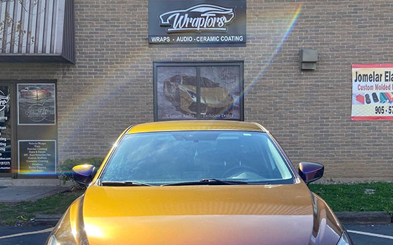 Wraptors Hamilton